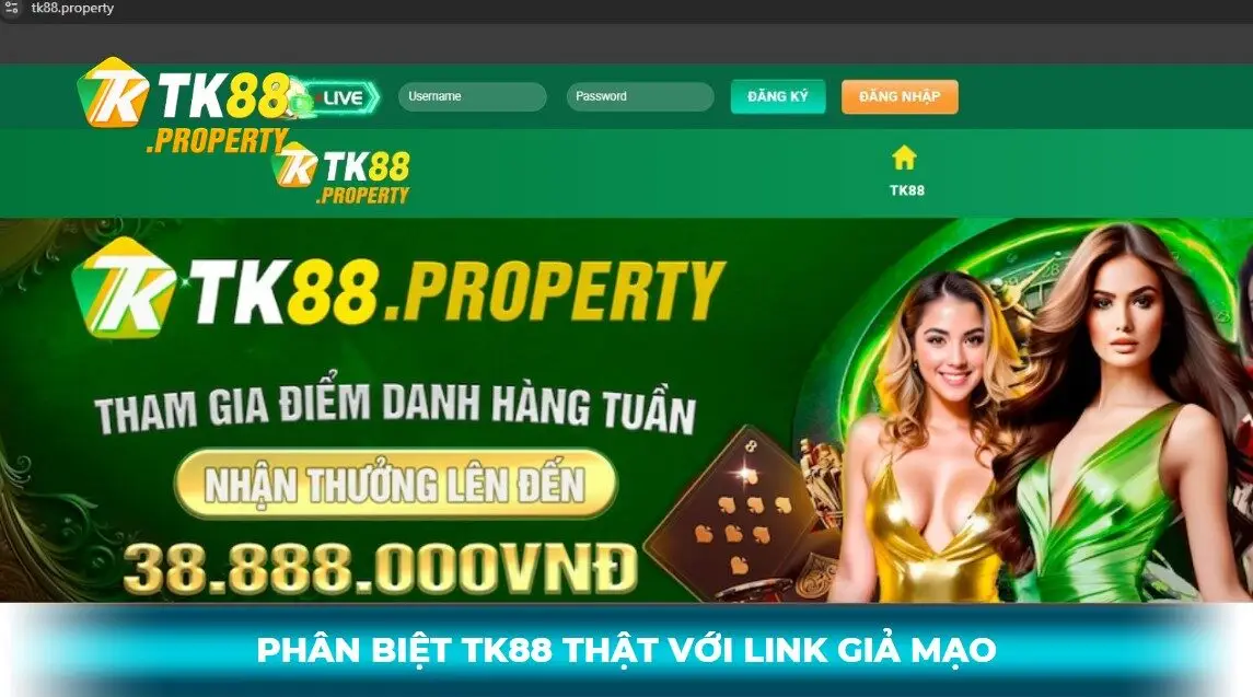 Nhận biết trang chủ tk88 chính và link giả mạo